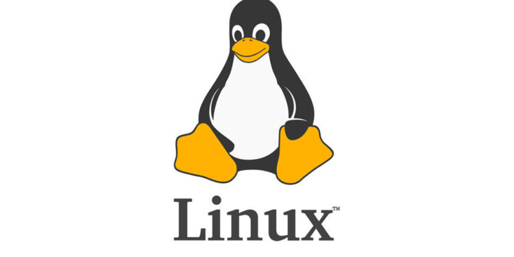 Linux Sunucu Nedir?