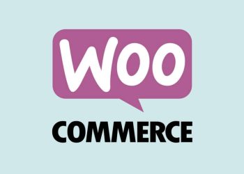 En İyi WooCommerce Eklentileri 2025