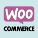 En İyi WooCommerce Eklentileri 2025