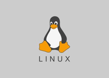 Linux İşletim Sistemi Nasıl Kurulur