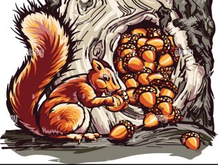 Bencil Sincap Paylaşmayı Öğreniyor