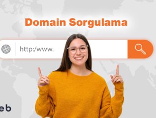 Domain Sorgulama