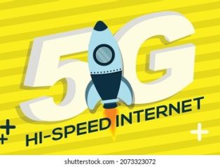 CyberPanel ve OpenLiteSpeed ile Hız Canavarı Sunucu Kurulumu